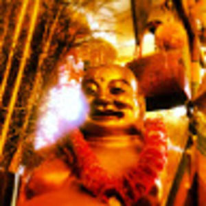 Meet your Posher, Kat